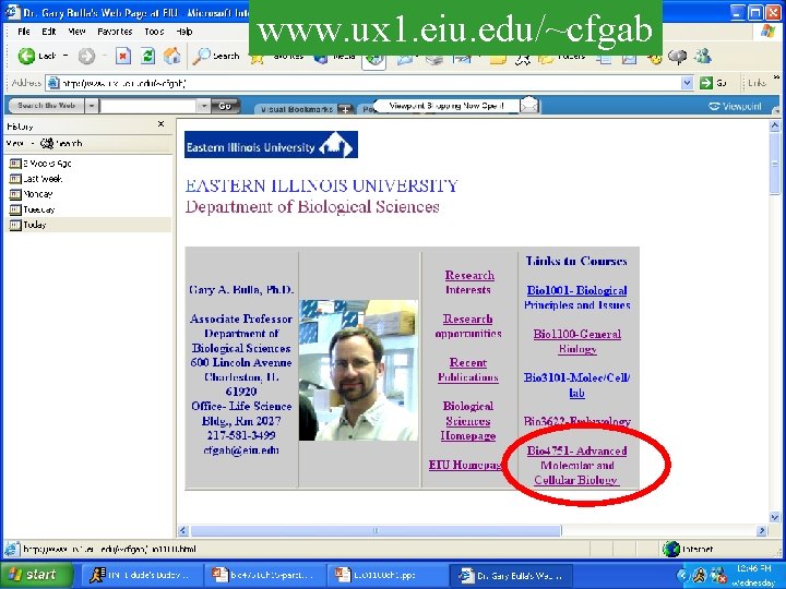 www. ux 1. eiu. edu/~cfgab 