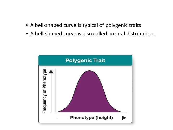  • A bell-shaped curve is typical of polygenic traits. • A bell-shaped curve