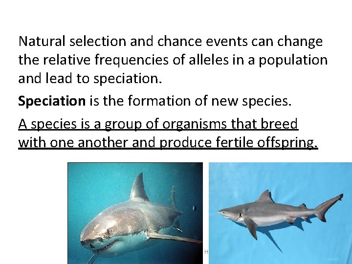16 -3 The Process of Speciation Natural selection and chance events can change the