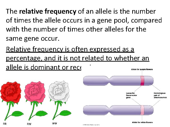 The relative frequency of an allele is the number of times the allele occurs