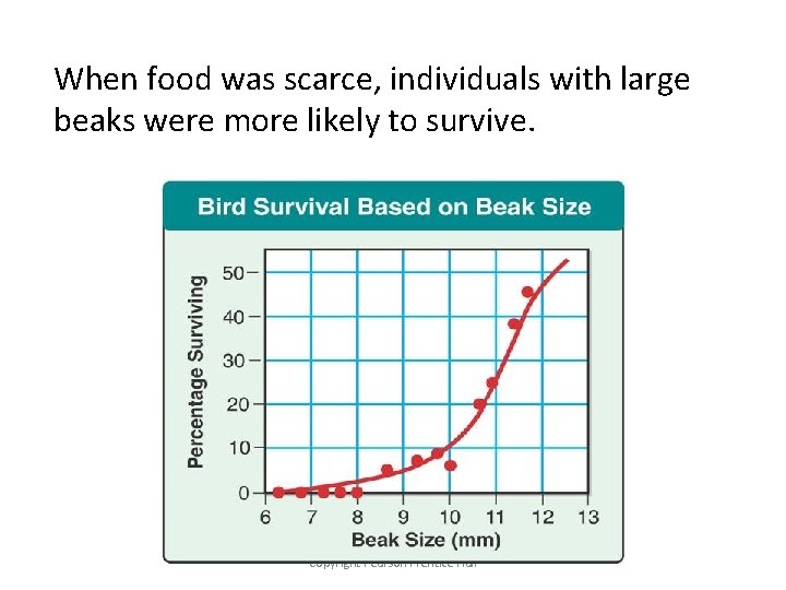 When food was scarce, individuals with large beaks were more likely to survive. Copyright