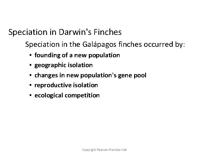 Speciation in Darwin's Finches Speciation in the Galápagos finches occurred by: • • •