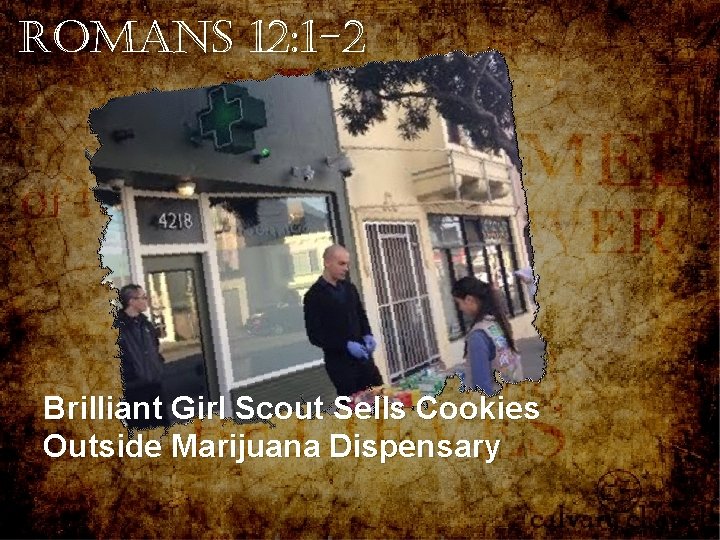 Romans 12: 1 -2 Brilliant Girl Scout Sells Cookies Outside Marijuana Dispensary Romans 12: 1 -2 Brilliant Girl Scout Sells Cookies Outside Marijuana Dispensary