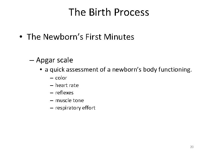 The Birth Process • The Newborn’s First Minutes – Apgar scale • a quick