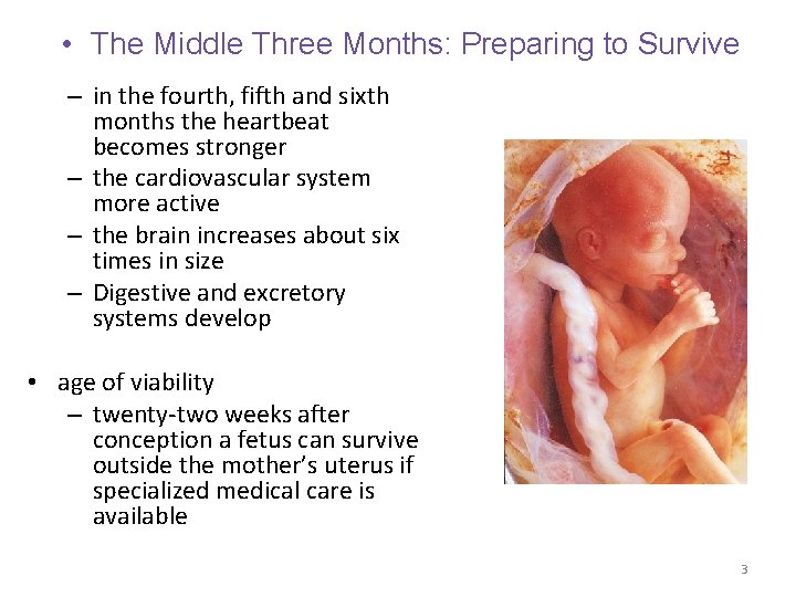  • The Middle Three Months: Preparing to Survive – in the fourth, fifth