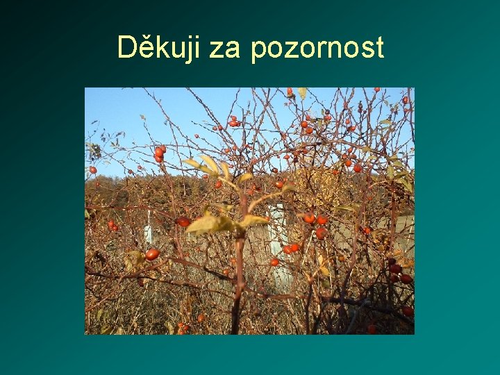 Děkuji za pozornost 