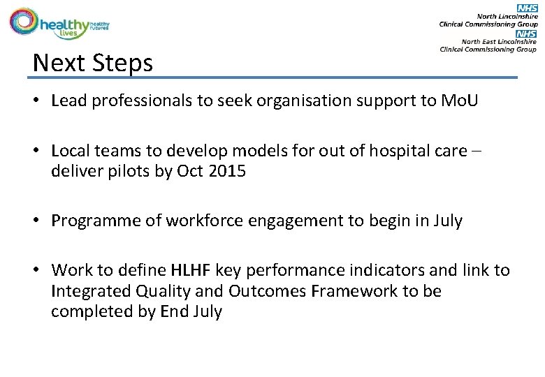 Next Steps • Lead professionals to seek organisation support to Mo. U • Local