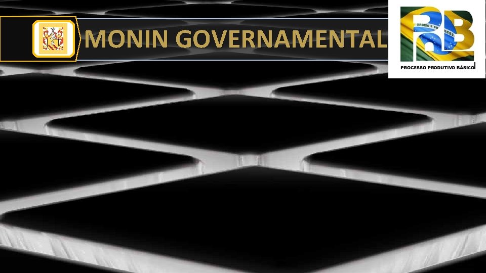 MONIN GOVERNAMENTAL 