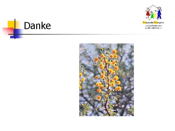 Danke Danke