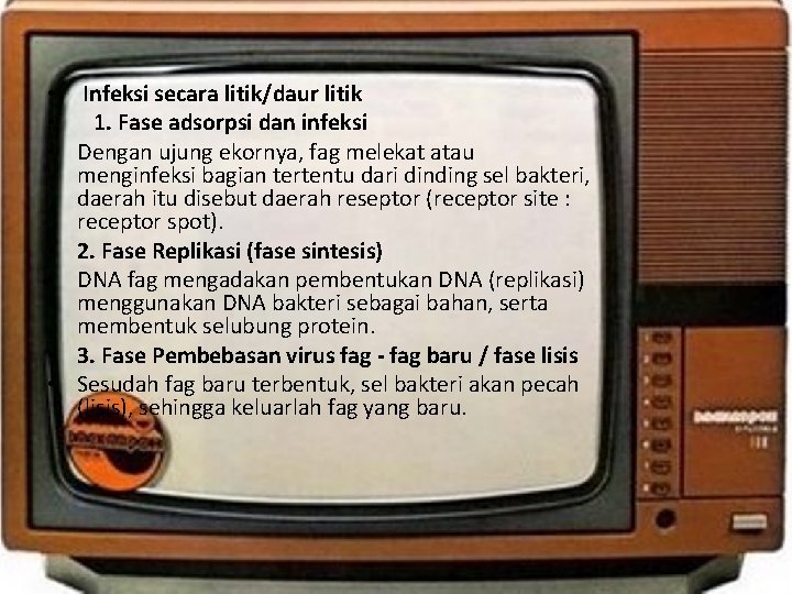  • Infeksi secara litik/daur litik • 1. Fase adsorpsi dan infeksi • Dengan