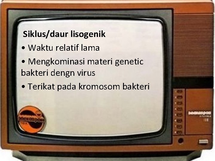  • Siklus/daur lisogenik • • Waktu relatif lama • • Mengkominasi materi genetic