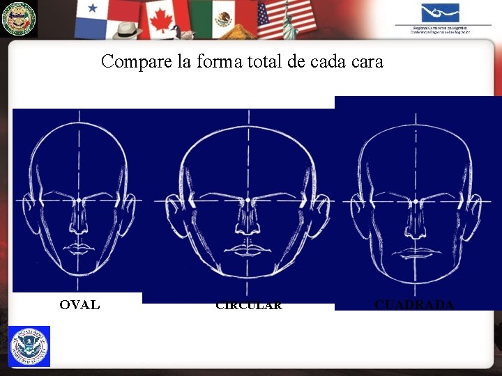 U. S. IMMIGRATION & CUSTOMS ENFORCEMENT Compare la forma total de cada cara La