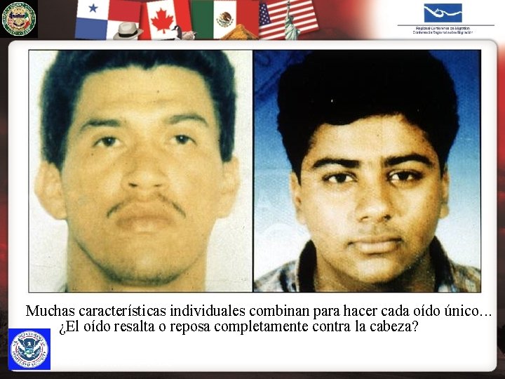 U. S. IMMIGRATION & CUSTOMS ENFORCEMENT Muchas características individuales combinan para hacer cada oído