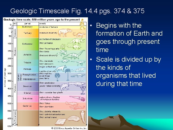 Geologic Timescale Fig. 14. 4 pgs. 374 & 375 • Begins with the formation