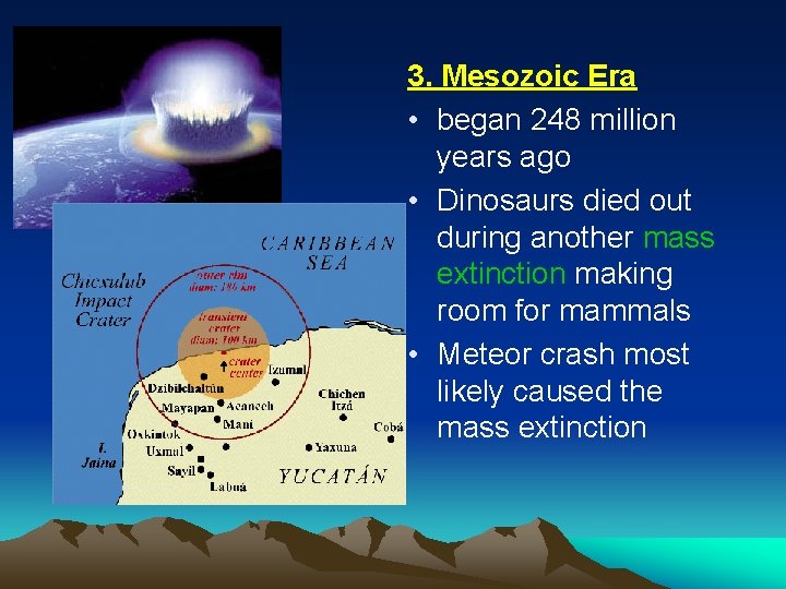 3. Mesozoic Era • began 248 million years ago • Dinosaurs died out during