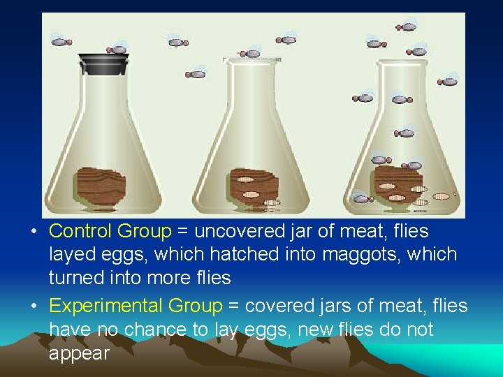  • Control Group = uncovered jar of meat, flies layed eggs, which hatched