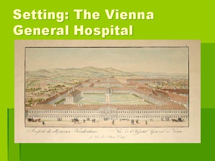Setting: The Vienna General Hospital 