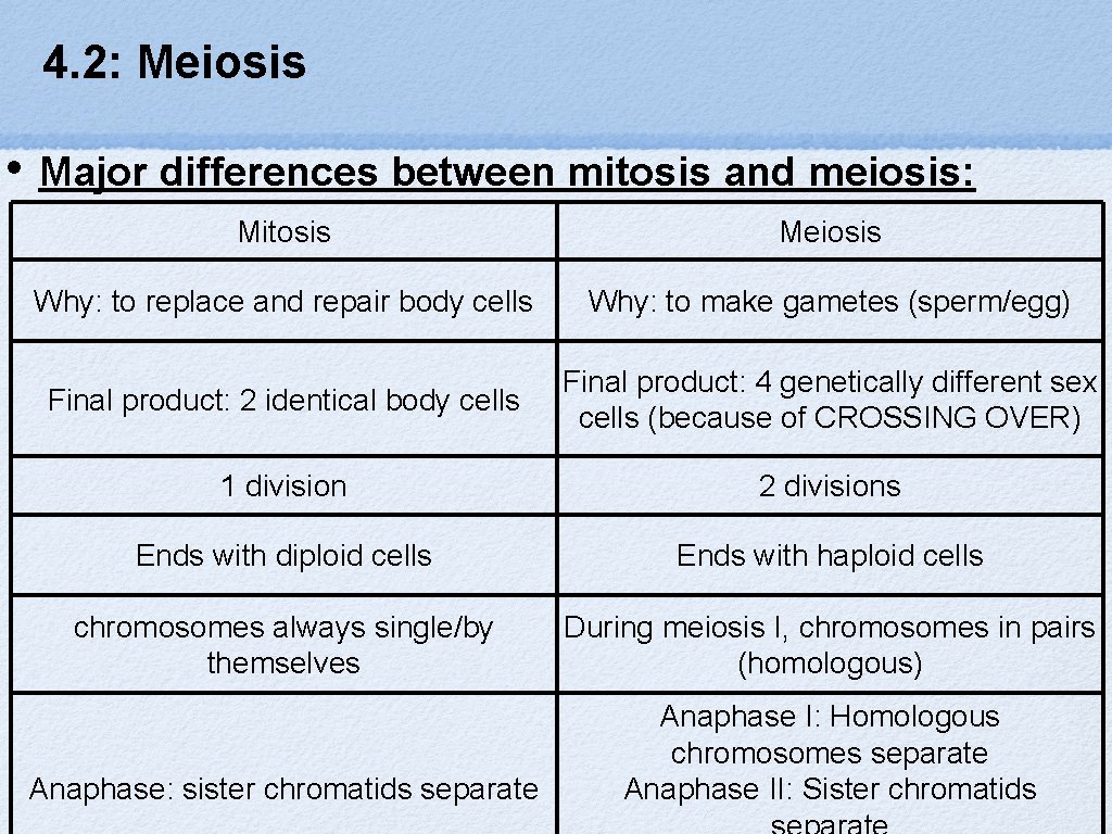 4. 2: Meiosis • Major differences between mitosis and meiosis: Mitosis Meiosis Why: to