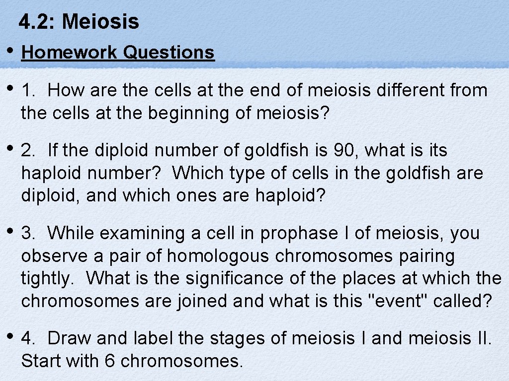 4. 2: Meiosis • Homework Questions • 1. How are the cells at the