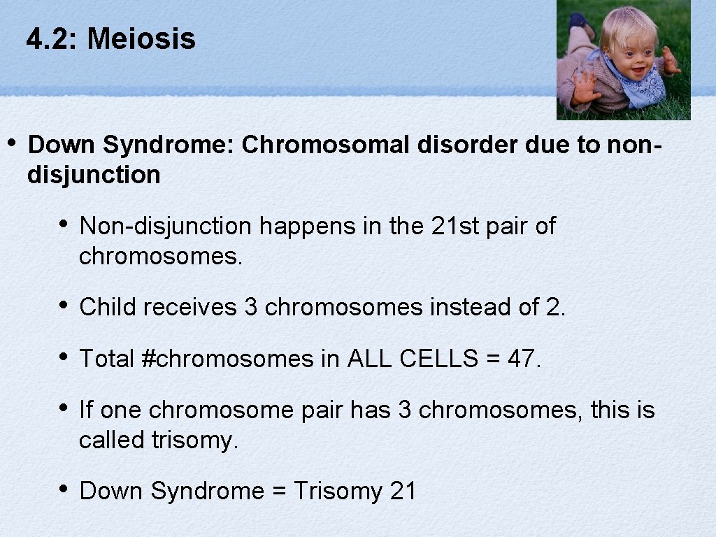 4. 2: Meiosis • Down Syndrome: Chromosomal disorder due to nondisjunction • Non-disjunction happens
