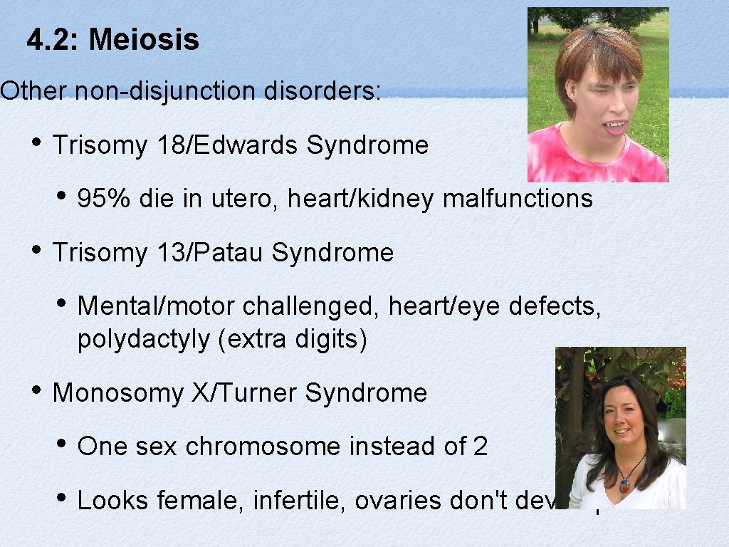 4. 2: Meiosis Other non-disjunction disorders: • Trisomy 18/Edwards Syndrome • 95% die in