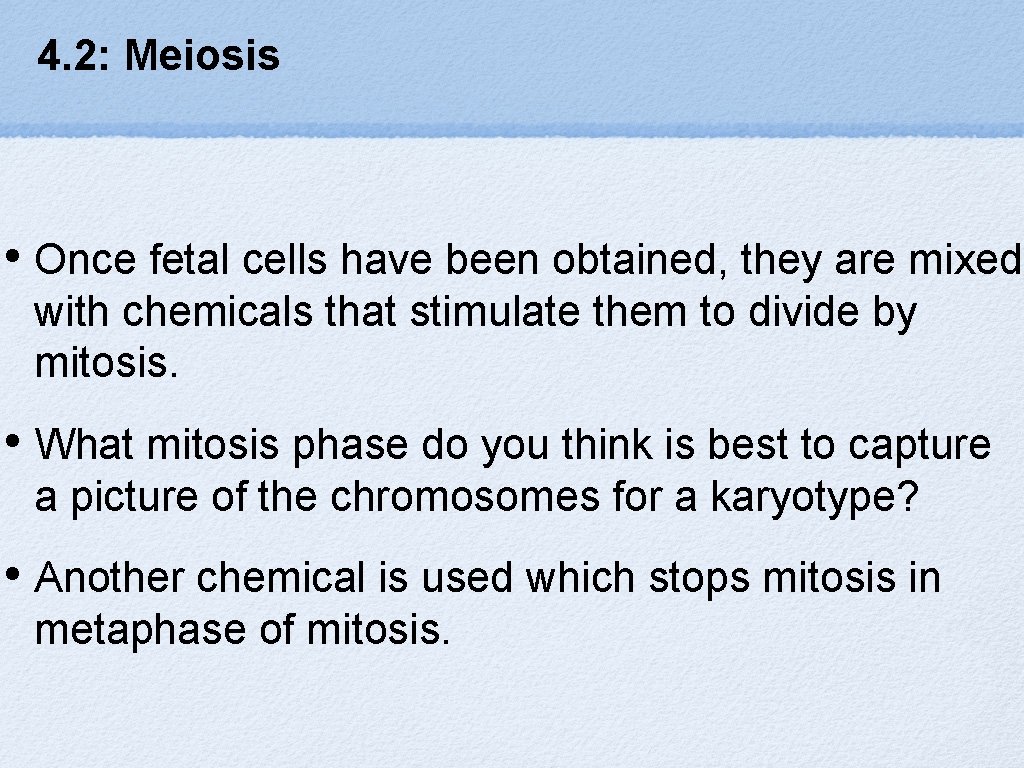4. 2: Meiosis • Once fetal cells have been obtained, they are mixed with