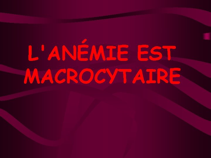 L'ANÉMIE EST MACROCYTAIRE 