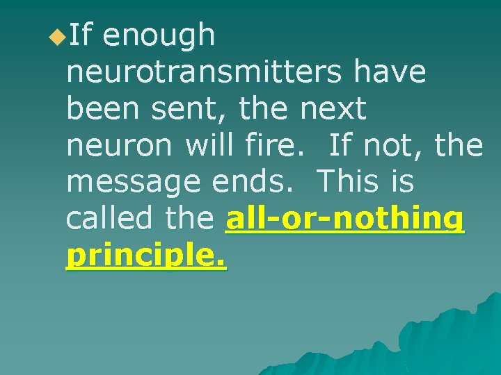 u. If enough neurotransmitters have been sent, the next neuron will fire. If not,