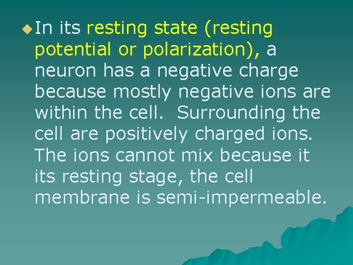 u In its resting state (resting potential or polarization), a neuron has a negative