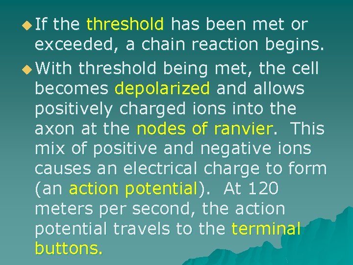 u If the threshold has been met or exceeded, a chain reaction begins. u