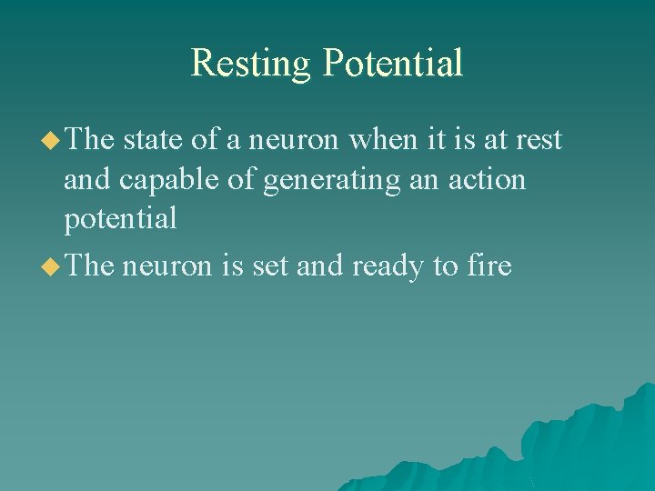 Resting Potential u The state of a neuron when it is at rest and