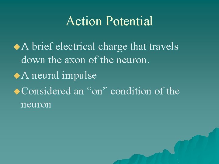 Action Potential u A brief electrical charge that travels down the axon of the