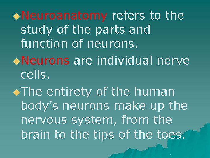 u. Neuroanatomy refers to the study of the parts and function of neurons. u.