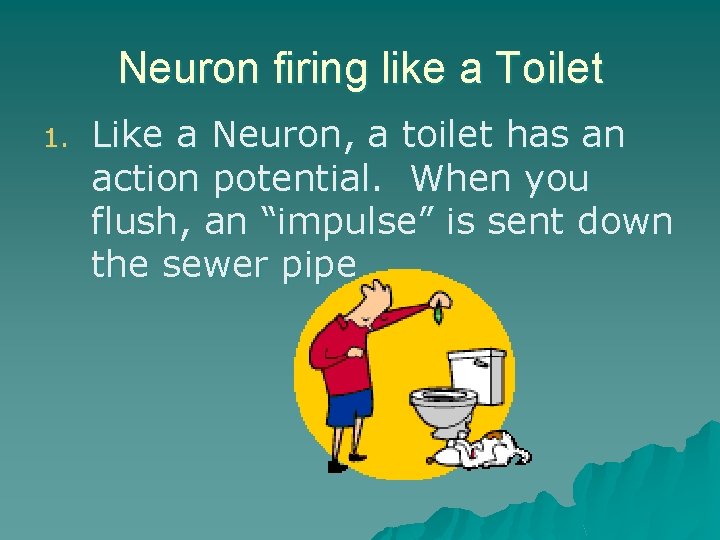 Neuron firing like a Toilet 1. Like a Neuron, a toilet has an action