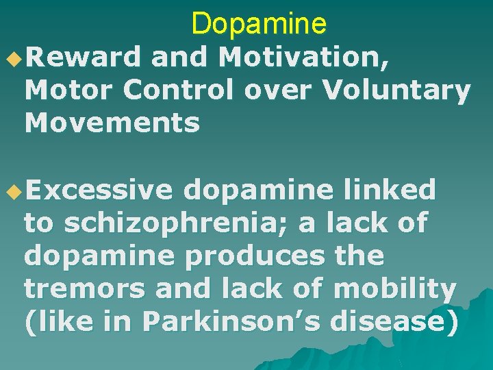 u. Reward Dopamine and Motivation, Motor Control over Voluntary Movements u. Excessive dopamine linked