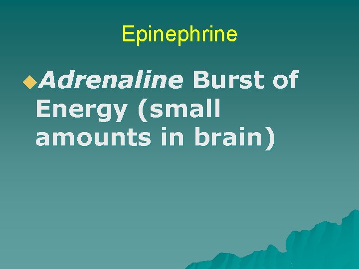 Epinephrine u. Adrenaline Burst of Energy (small amounts in brain) 