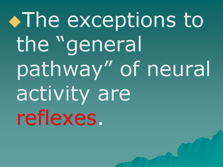 u. The exceptions to the “general pathway” of neural activity are reflexes. 