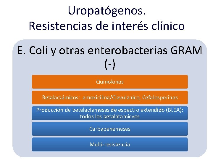 Uropatógenos. Resistencias de interés clínico E. Coli y otras enterobacterias GRAM (-) Quinolonas Betalactámicos: