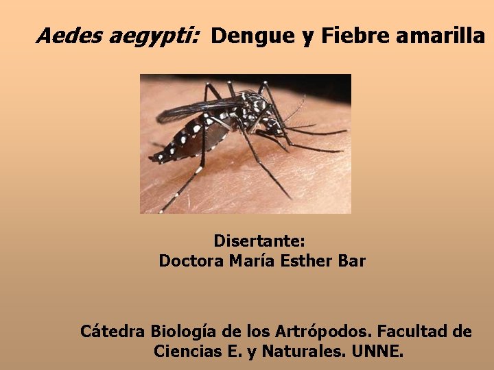 Aedes aegypti: Dengue y Fiebre amarilla Disertante: Doctora María Esther Bar Cátedra Biología de