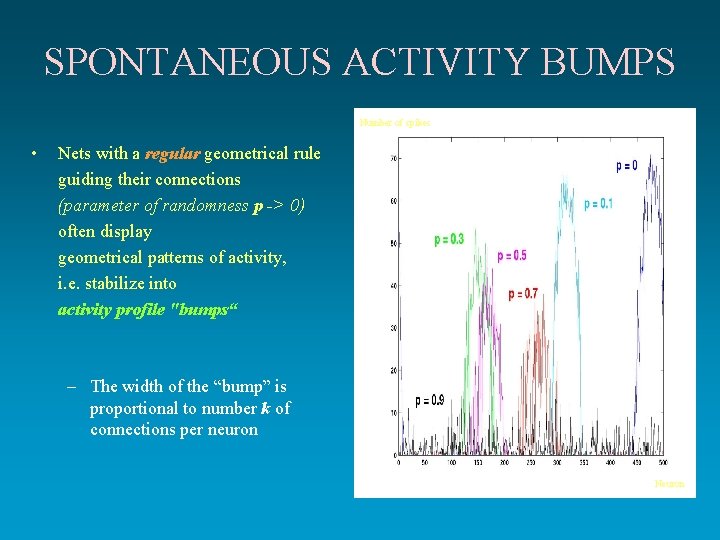 SPONTANEOUS ACTIVITY BUMPS Number of spikes • Nets with a regular geometrical rule guiding SPONTANEOUS ACTIVITY BUMPS Number of spikes • Nets with a regular geometrical rule guiding
