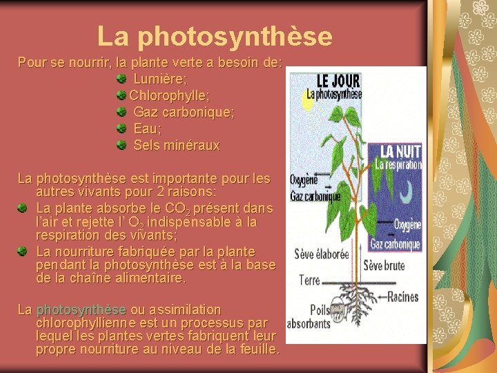 La photosynthèse Pour se nourrir, la plante verte a besoin de: Lumière; Chlorophylle; Gaz