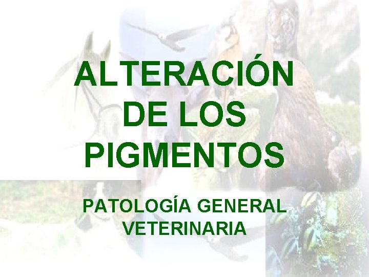 ALTERACIÓN DE LOS PIGMENTOS PATOLOGÍA GENERAL VETERINARIA 