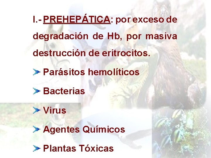 I. - PREHEPÁTICA: PREHEPÁTICA por exceso de degradación de Hb, por masiva destrucción de