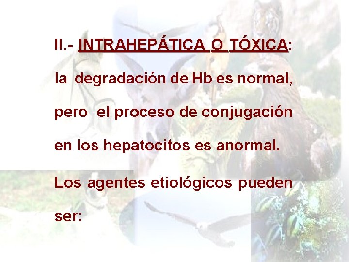 II. - INTRAHEPÁTICA O TÓXICA: TÓXICA la degradación de Hb es normal, pero el