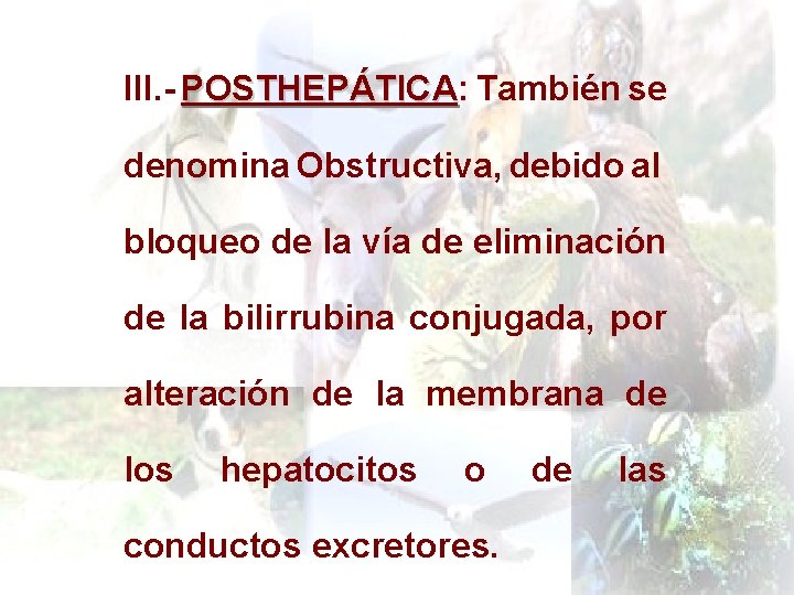 III. - POSTHEPÁTICA: POSTHEPÁTICA También se denomina Obstructiva, debido al bloqueo de la vía