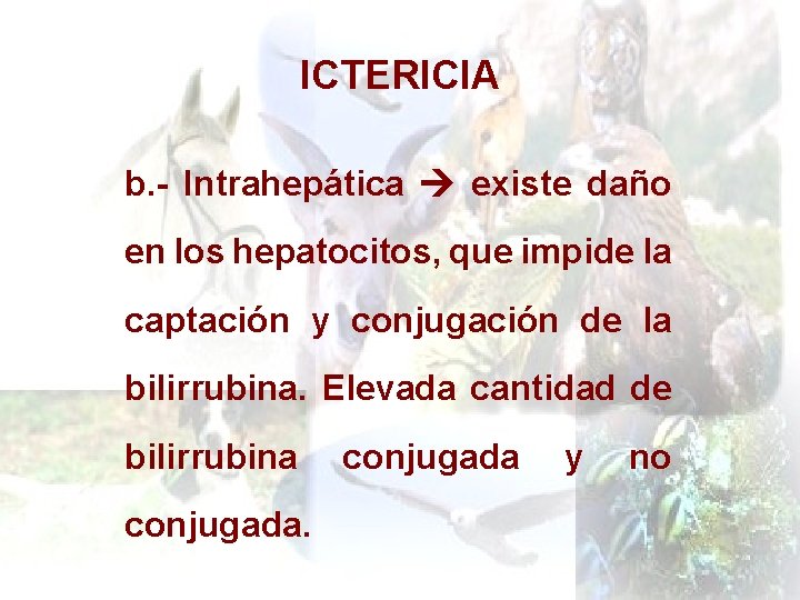 ICTERICIA b. - Intrahepática existe daño en los hepatocitos, que impide la captación y