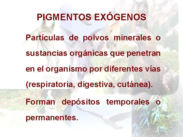 PIGMENTOS EXÓGENOS Partículas de polvos minerales o sustancias orgánicas que penetran en el organismo