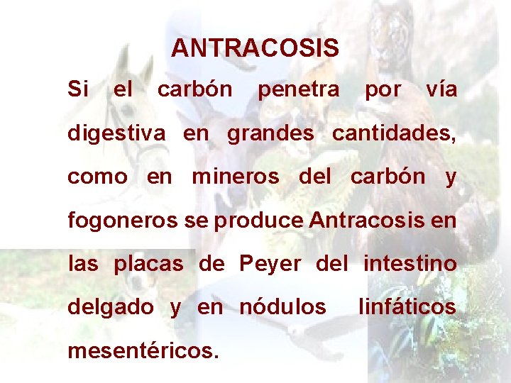 ANTRACOSIS Si el carbón penetra por vía digestiva en grandes cantidades, como en mineros