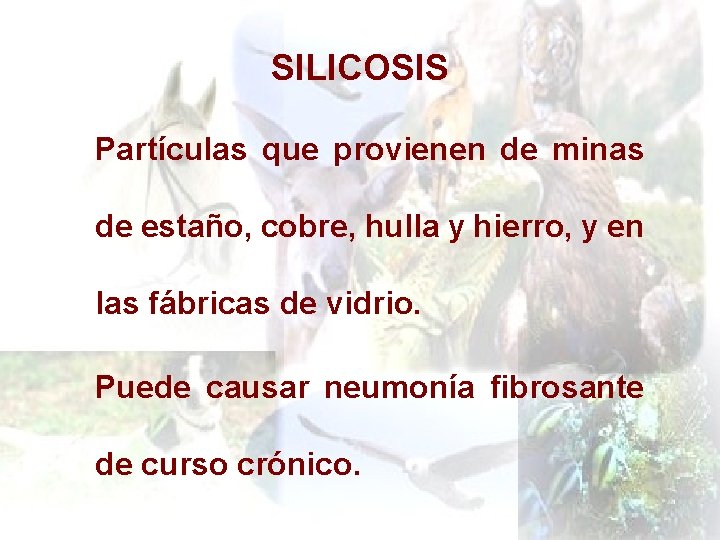 SILICOSIS Partículas que provienen de minas de estaño, cobre, hulla y hierro, y en