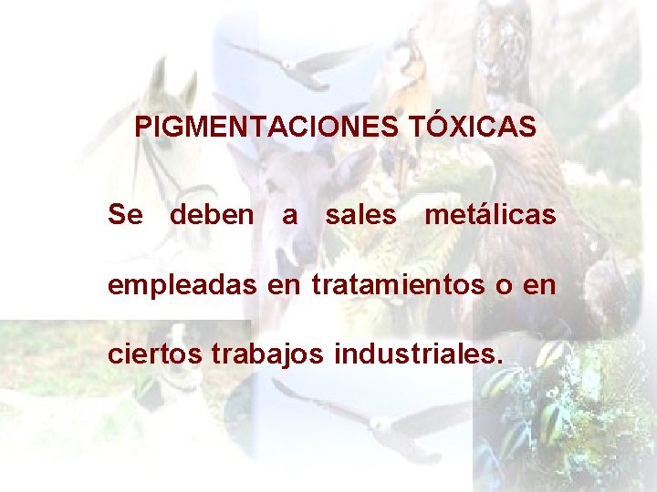 PIGMENTACIONES TÓXICAS Se deben a sales metálicas empleadas en tratamientos o en ciertos trabajos